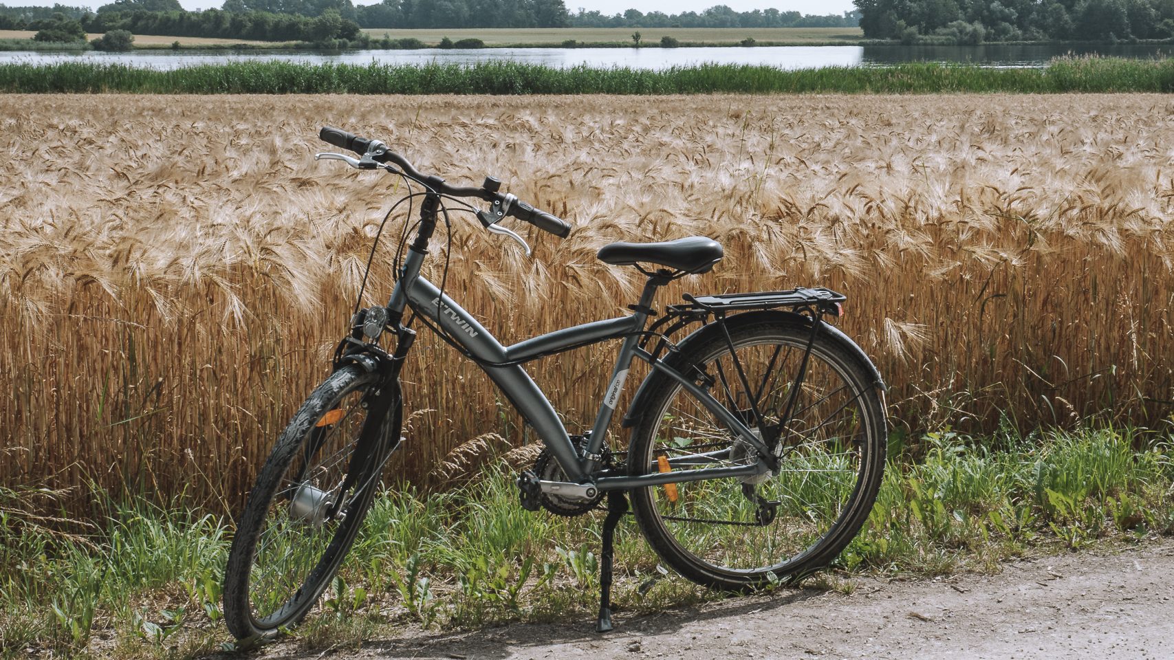 vélo dans les champs