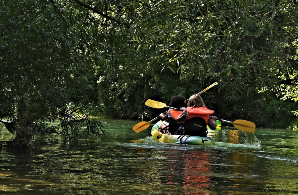 Balade en canoe sur l'Aube