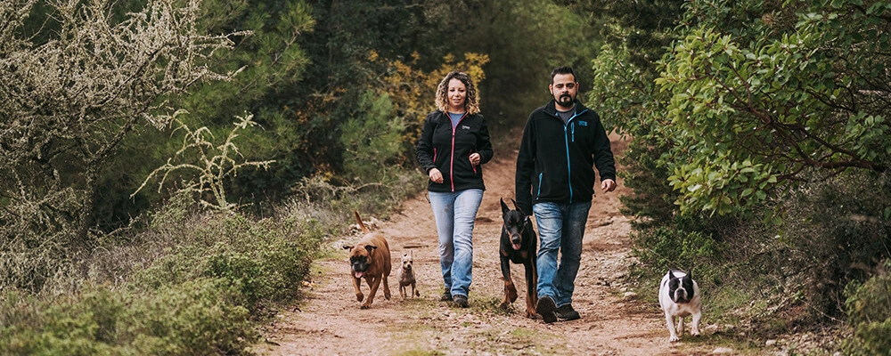 balade avec mon chien aux grands lacs de champagne