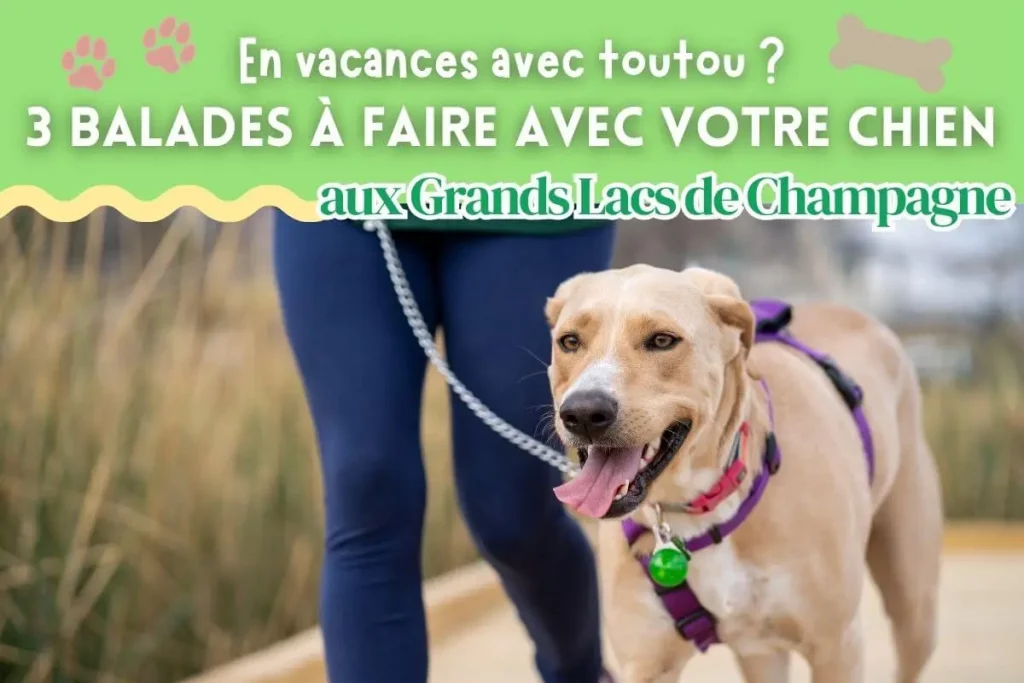 balade à faire avec son chien aux grands lacs de champagne