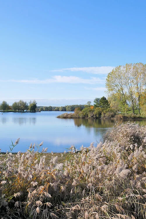 se balader au lac amance avec toutou grands lacs de champagne